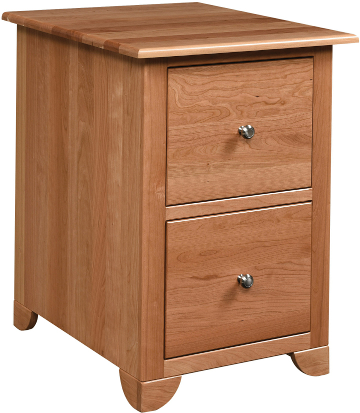 Covington Credenza 2-Drawer Vertical File Cabinet
